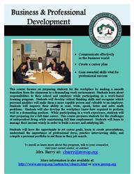 Business Pro Dev flier 
